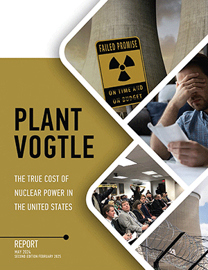 Updated Vogtle Truth Report February 2025